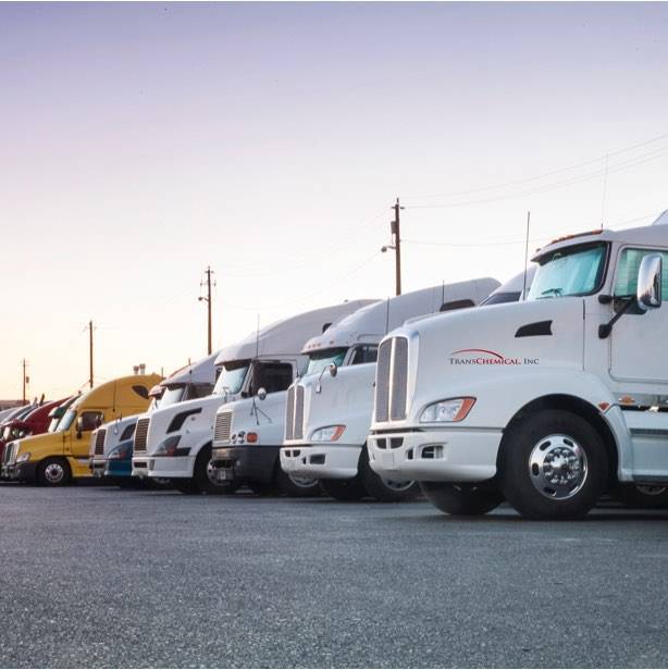 A line of transport trucks